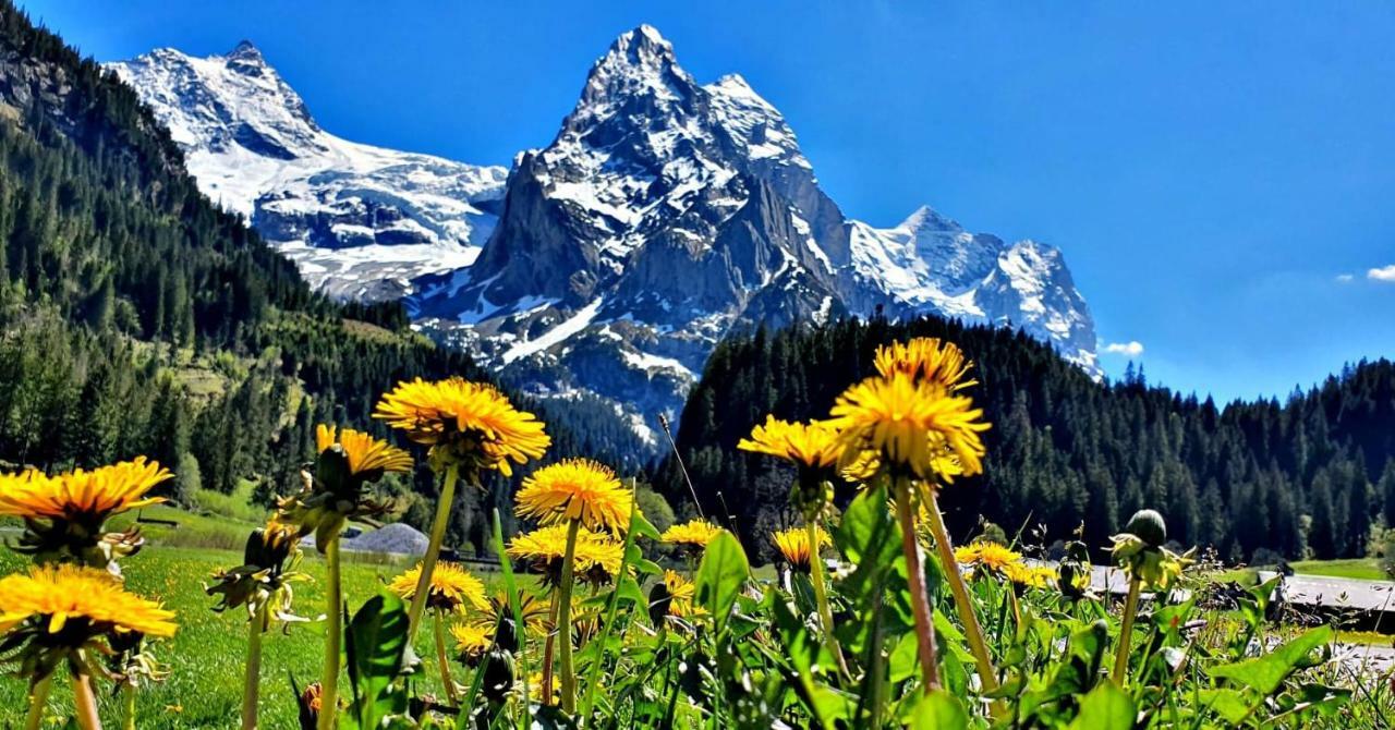 Churchstreet Appartements Meiringen Εξωτερικό φωτογραφία